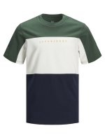 T-shirt JORPRO Grön 5XL