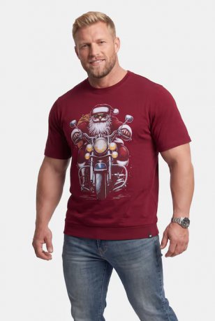 Jultshirt MEN+ 148 Röd