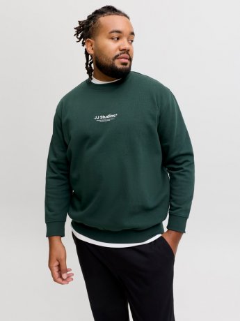 Sweatshirt SOHO Scarab