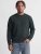 Tröja BRADLEY Crew neck Scarab