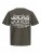 T-shirt ECHO GRAPHIC BACKPRINT Peat