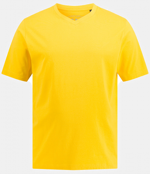 V-Neck T-shirt JP1880