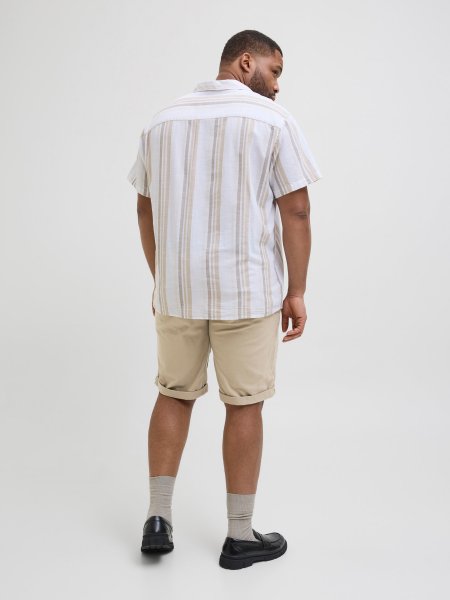 Chinosshorts JJ Dave Crockery