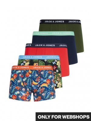 Boxer COLORFUL FLOWERS 310 5-pack 5XL