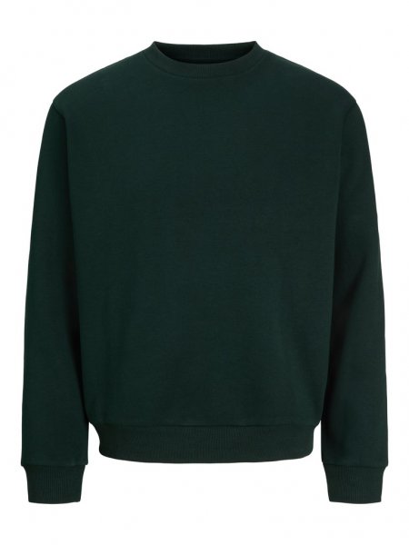 Tröja BRADLEY Crew neck Scarab