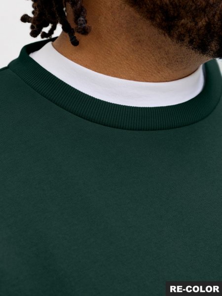 Tröja BRADLEY Crew neck Scarab