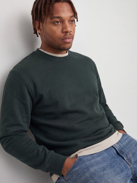 Tröja BRADLEY Crew neck Scarab