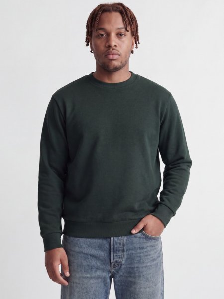 Tröja BRADLEY Crew neck Scarab