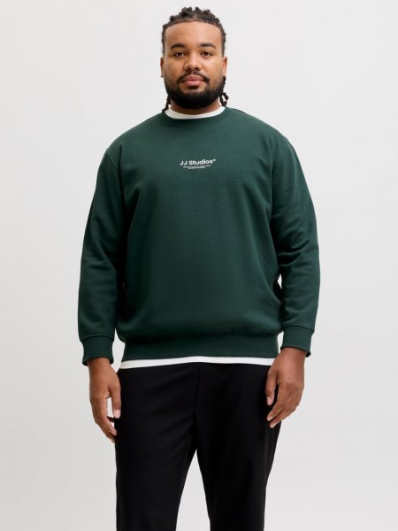 Sweatshirt SOHO Scarab