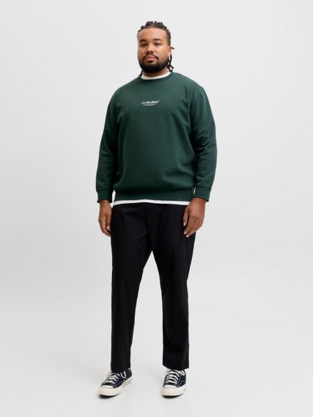 Sweatshirt SOHO Scarab
