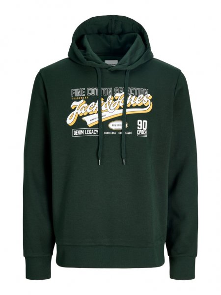 Huvtröja LOGO 2 COL AW26 Scarab