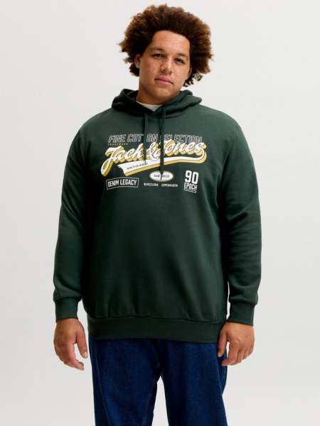 Huvtröja LOGO 2 COL AW26 Scarab