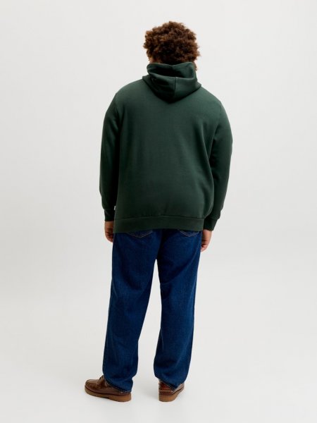 Huvtröja LOGO 2 COL AW26 Scarab