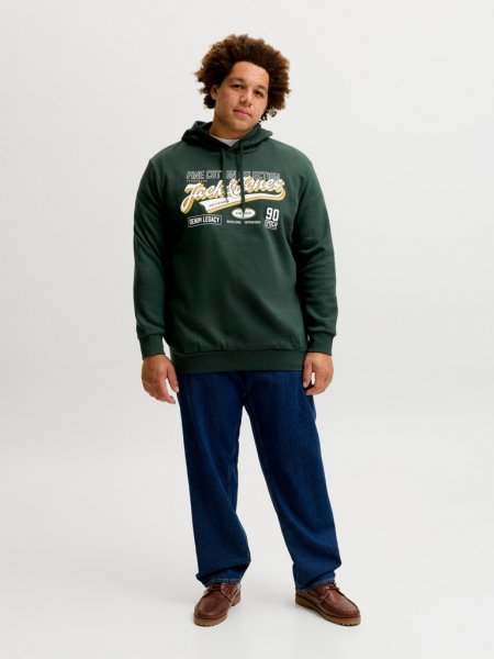 Huvtröja LOGO 2 COL AW26 Scarab