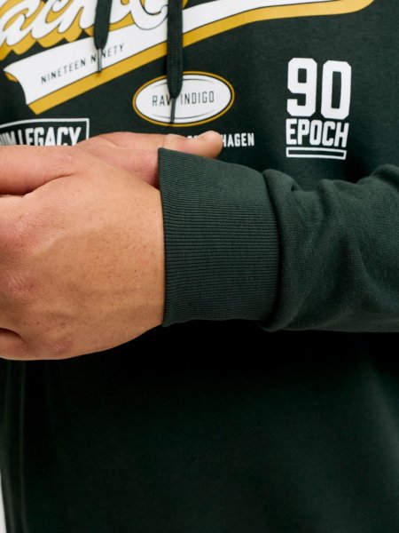 Huvtröja LOGO 2 COL AW26 Scarab