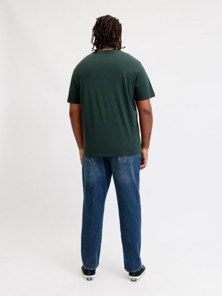 T-shirt LOGO 2 COL AW26 Scarab