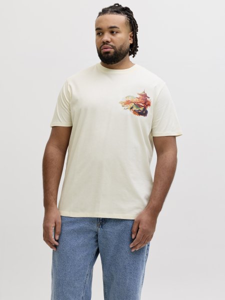 T-shirt BIG JAPAN Antique White