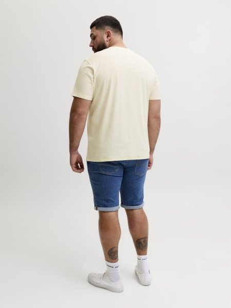 T-shirt CASSIS BRANDING Antique White