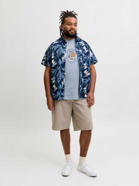 T-shirt CASSIS SKULL Cashmere Blue