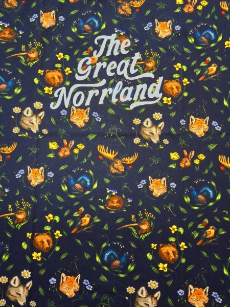 T-shirt Norrland Wordmark Landskap Svart