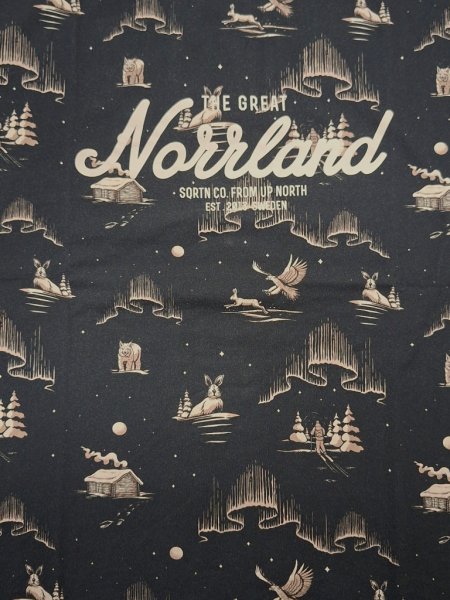 T-shirt Great Norrland Vinternatt Grå